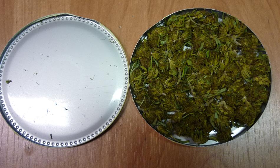 2014-2-28-1433foto 1.jpg